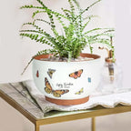 YBX 8 Inch + 6 Inch Terracotta Plant Pots, Flower Pots - Image 2