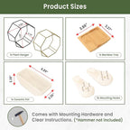IRYL Wall Planter for Indoor Plants - Image 6