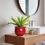 Ceramic Self Watering Planter, 6 Inch African Violet Pots - Image 5