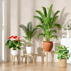 3 Pack Plant Stand Indoor Outdoor Mid-Century Modern Plant Stool Wooden Plant - Image 4