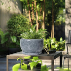SQOWL Ceramic Pot for Plants - Image 5
