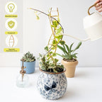 3PCS DNA Plant Trellis Indoor and Outdoor - Image 5