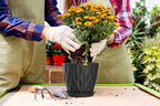 7 Inch Plant Pots 5 Pack, Flower Planters - Image 6