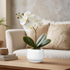 G EPGardening Ceramic Plants Pots - Image 5