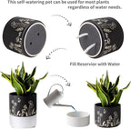 Nihow Self Watering Plant Pot: 6 Inch Ceramic Planter - Image 3