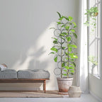Trellis for Climbing Plants Indoor, 3 Pack Stackable Garden Trellis for Potted - Image 3