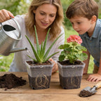 60 Pcs Clear Square Nursery Pots 4 Inch, Reusable Seedling Pots - Image 6