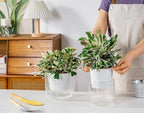 Melphoe Self Watering Pots for Indoor Plants Planter, 6.5/5.3 Inch 2 Pack - Image 2