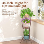 LASZOLA Bronze 3 Tier Tall Plant Stand - Image 4