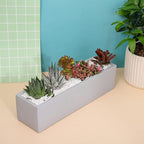 15 Inch Grey Rectangular Cement Planter Concrete Succulent Planter Windowsill - Image 2