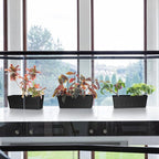 Window Box Planter with Tray - Image 6