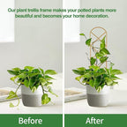 Small Trellis for Potted Plants, 15.94 inch Gold Metal Plant Trellis for - Image 3