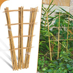 10 Pack 2ft Bamboo Trellis for Climbing Plants-Natural Garden Ladder Trellis by Biotolot