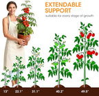 Aieve Extendable Plant Stakes, 13in to 49in Stainless Steel Telescoping - Image 2