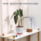 Selamica Ceramic Plant Pots, 5.6 Inch Flower Pots - Image 2