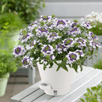 Self-Watering-Pots-for-Indoor-Plants, 8 Inch Flower Pots - Image 7