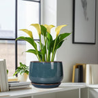 G EPGardening Ceramic Plant Pots - Image 8