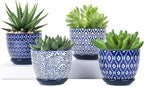 Selamica Ceramic Plant Pots, 4.6 Inch Flower Pots by Selamica