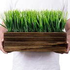 MyGift 14 Inch Artificial Green Grass Plant in Rustic Burnt Solid Wood - Image 6