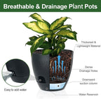 Self Watering Pots Set, 5 Pack 6 Inch Self Watering Pots - Image 4