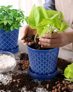 EFISPSS Ceramic Plant Pots, 5Inch Pots - Image 2