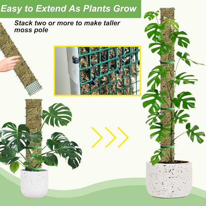 60"/40"/24" Metal Moss Pole, D Shape Sphagnum Moss Pole, Moss Poles - Image 6