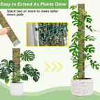60"/40"/24" Metal Moss Pole, D Shape Sphagnum Moss Pole, Moss Poles - Image 3