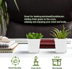 Anyumocz 24Pcs 3" Square Plastic Plant Pots, Seedling Nursery Transplanting - Image 5
