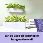 LaLaGreen Wall Planter Carbon Steel White Metal Hanging Flower Pot - Image 6