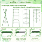 Riare 8 Pack 5.2 FT Tomato Cages - Image 5