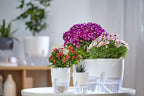 Self Watering Planter for Indoor Plants, 2 Pack 9.3 Inch Flower Pot Modern - Image 2