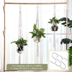 12 Pcs Plastic Plant Propagation - Image 3