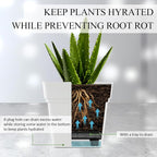 6-Pack 7 Inch Square Planters - Image 3