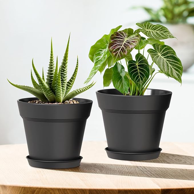 5 Inch Plastic Plant Pots with Drainage Holes and Trays – 6 Pack Small Nursery - Image 6