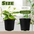 OJYUDD 120 Pcs 0.5 Gallon Black Plastic Plant Nursery Pots, Plant Seedling Pots - Image 2