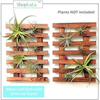 ShopLaLa Wall Planter - Image 6