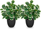 Sets of 2 Artificial Plants Indoor Home Decor, 14.5" Fake Potted Silk Plants - Image 8