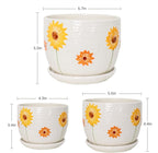 Ton Sin Plant Pots, 4+5+6 inch Pots - Image 3
