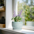 SQOWL Ceramic Plant Pots - Image 2