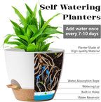 Plant Pots, 12+10+9 Inch Self Watering Pots - Image 4