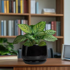 G EPGardening Ceramic Planter 7 Inch - Image 8