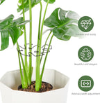6PCS Iron Monstera Plant Support, Uniquely Designed Indoor Plant Accessories - Image 4