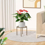 1 PCS Plant Stand, -Heavy Duty Metal Stand Decorates Plants, Anti-Rust Flower - Image 6
