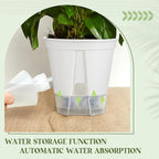 Self Watering Pots for Indoor Plants - Image 3