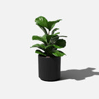 Veradek Demi Series Round Planter - Image 9