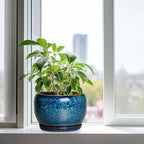 SQOWL 10 Inch Plant Pot - Image 4