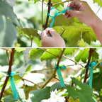 2 Pcs 150 Feet x 1/2" Wide Stretch Tie Tape Green Plant Garden Tie, Garden - Image 3