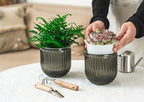 Melphoe 2 Pack Self Watering Hanging Planters Indoor Flower Pots, 5.3 Inch - Image 3