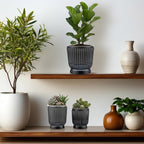 Set of 6 Self Watering Plant Pot 3 Sizes Plastic Double Layer Self Watering - Image 6