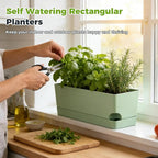 2 Pack Self Watering Pots for Indoor Plants 17 Inches Window Boxes Planters - Image 2